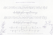 Bianca Kamelo Font, a Script Font by Ivan Rosenberg (Thumbnail 11 of 11)