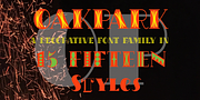 OakPark, a Handwritten Font by Ingrimayne Type (Thumbnail 1 of 9)