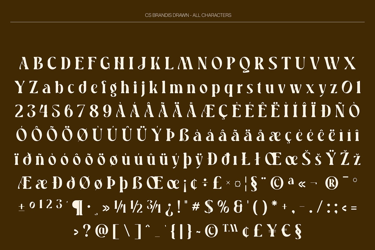 CS Brandis Drawn, a Serif Font by Craft Supply Co. (Photo 8 of 8)