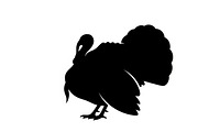 Thanksgiving Turkey Silhouettes, an Illustration by Amazin_art (Thumbnail 14 of 16)