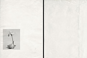 Aged White Vintage Paper, a Texture Graphic by Aesthetic Eye (Thumbnail 10 of 14)
