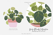 House Plants Collection, a Graphic by SmallHouseBigPony (Thumbnail 11 of 18)