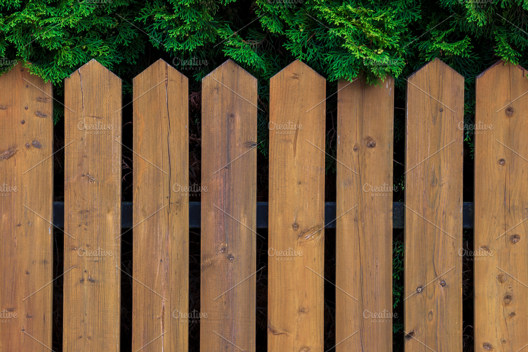 Picket, a Nature Photo by SergeKa