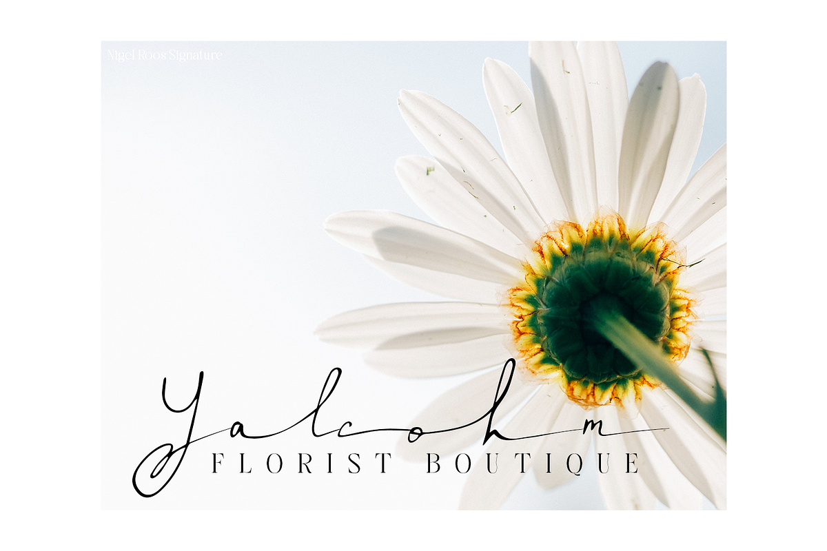 Nigel Roos Signature, a Script Font by madeDeduk (Photo 7 of 8)