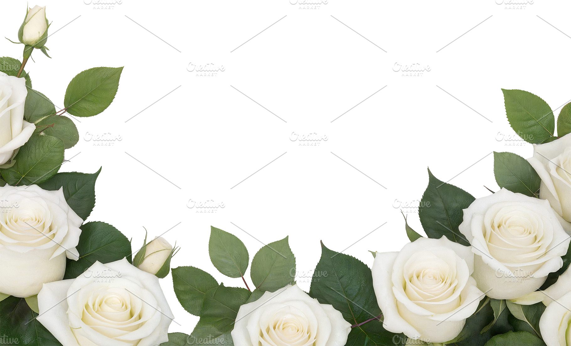 rose flowers transparent background, a Nature Photo by itakdalee