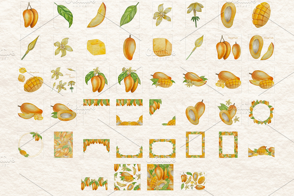 Botanical Style Mango Illustration, a Food Illustration by Milla_Zelenyuk_art (Photo 2 of 5)