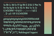 Ceganf Modern High Contrast Serif, a Serif Font by timelesstype.co (Thumbnail 19 of 20)