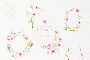 Blush Meadow Watercolor Wildflowers, a Decorative Illustration by Liliia Polos Illustration (Thumbnail 6 of 12)