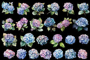 Hydrangea Clipart, Blue Watercolor