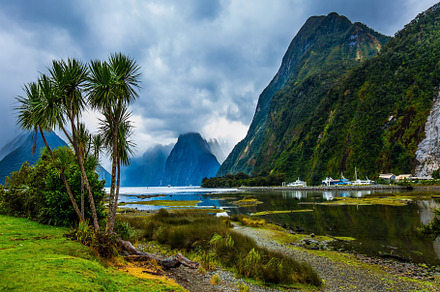 Overgrown with marsh grass coast, a Nature Photo by kavram