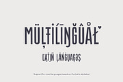 Massachusettz Narrow, a Handwritten Font by Foxys Type (Thumbnail 9 of 12)