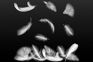 Realistic Feathers Collection