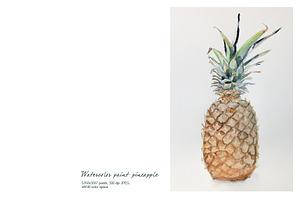 Pineapple watercolor