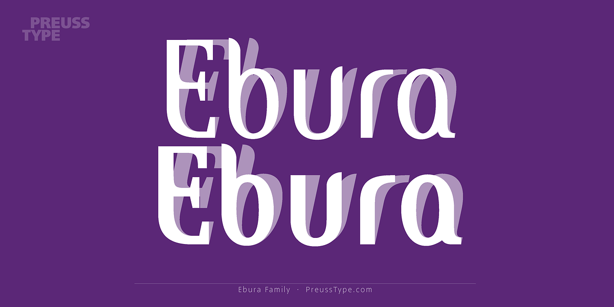 Ebura PRO, a Sans Serif Font by preussTYPE (Photo 2 of 10)