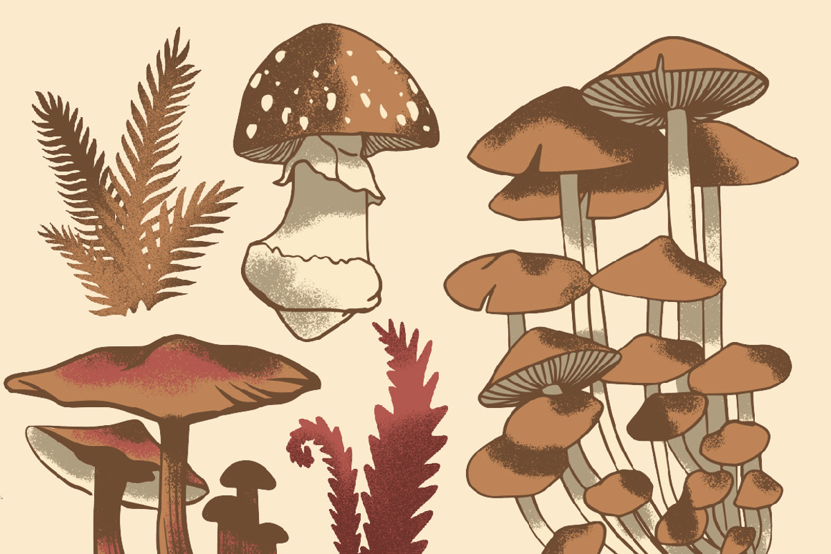 Fantastic Fungi Vectors, an Illustration by Instinct Design Co (Photo 2 of 2)
