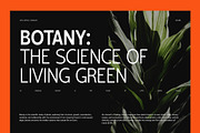 Shansio Sans Serif Font Family, a Sans Serif Font by Graphicxell (Thumbnail 8 of 10)