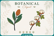 Boho Botanical Leaves Clipart Bundle, a Nature Photo by Actual Pixel (Thumbnail 13 of 21)