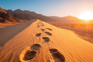 Footprints in the desert at sunset, a Nature Photo by AlyaAnd