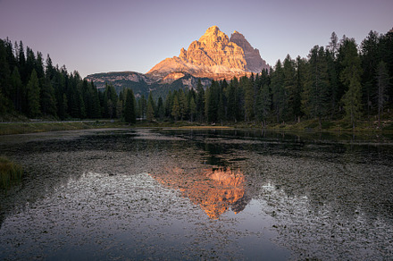 Trees reflecting in Lago d'Antorno