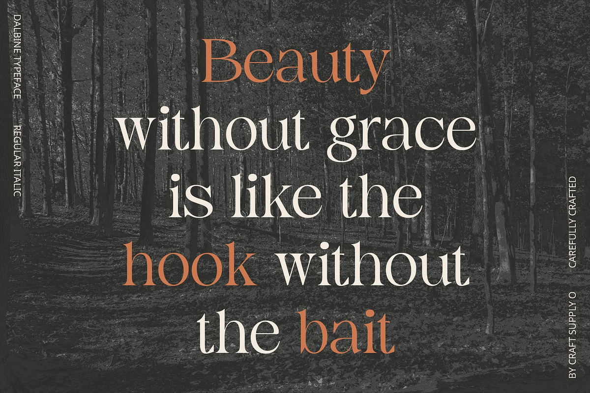 Dalbine – Elegant Font, a Serif Font by Craft Supply Co. (Photo 3 of 8)