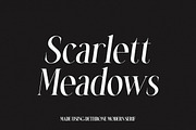 Dethrone - Modern Serif, a Serif Font by Rillatype (Thumbnail 10 of 15)
