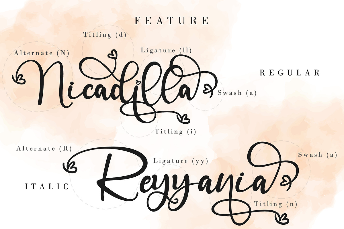 Angelinn Monogram, a Script Font by Letterara (Photo 9 of 12)