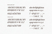 Bee Groove - Modern Serif Font, a Serif Font by Aqeel_Art (Thumbnail 8 of 8)