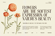 Holand Elegant Serif Font, a Serif Font by Perfectype (Thumbnail 3 of 8)