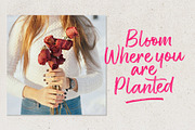 Rose Spe, a Script Font by Stripes Studio (Thumbnail 4 of 9)