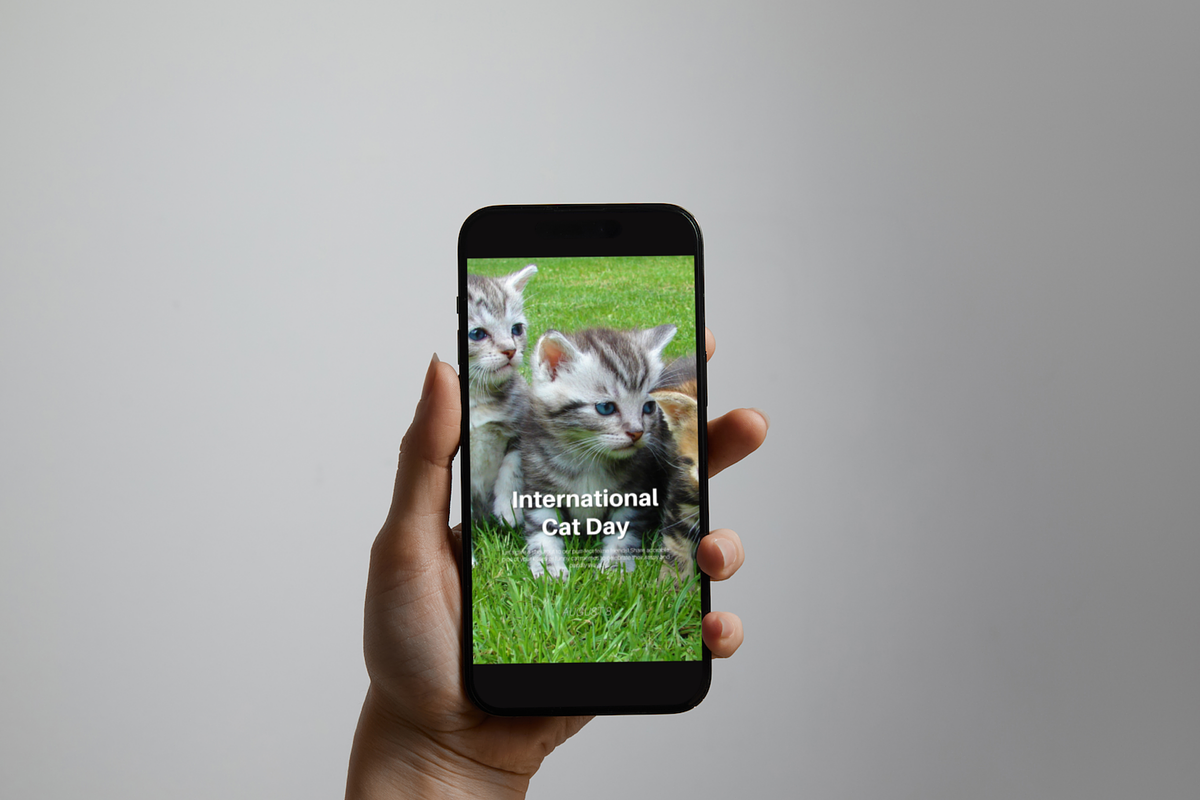 Real Estate-Instagram August Post, a Social Media Template by Modernastic - Canva (Photo 6 of 6)