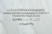 Aludra Serif 12 Font Family Pack, a Serif Font by Creativetacos (Thumbnail 3 of 5)