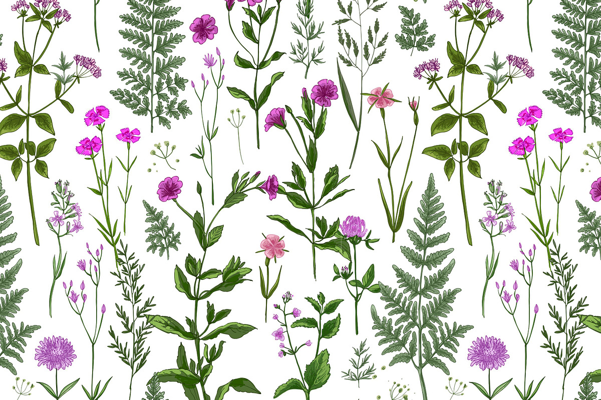 Wild herbs. Wildflowers pattern, a Pattern Graphic by irina.vaneeva (Photo 3 of 6)