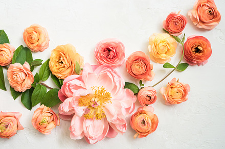 Valentines Peony Styled Stock Image 