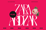 Hello Palisade Family, a Serif Font by Sans & Sons (Thumbnail 8 of 10)