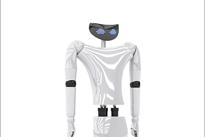 R1 Personal Humanoid Robot 3d model