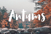 Antums Brush, a Handwritten Font by Siwox Studios (Thumbnail 1 of 9)
