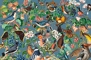 1150 Vintage Bird Illustratins, an Animal Illustration by Lilithcollageart (Thumbnail 9 of 10)