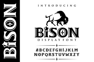 BISON