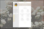 2 Page CV Template, a Resume Template by introDuice - CV / Resumes (Thumbnail 7 of 8)