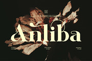 Anliba || Modern Classy Serif Font, a Serif Font by Ermedia Studio (Thumbnail 1 of 10)