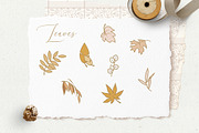 Charming Fall Icons, an Icon by Polar Vectors (Thumbnail 3 of 12)