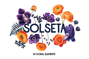 Solseta Floral Illustration Bundle