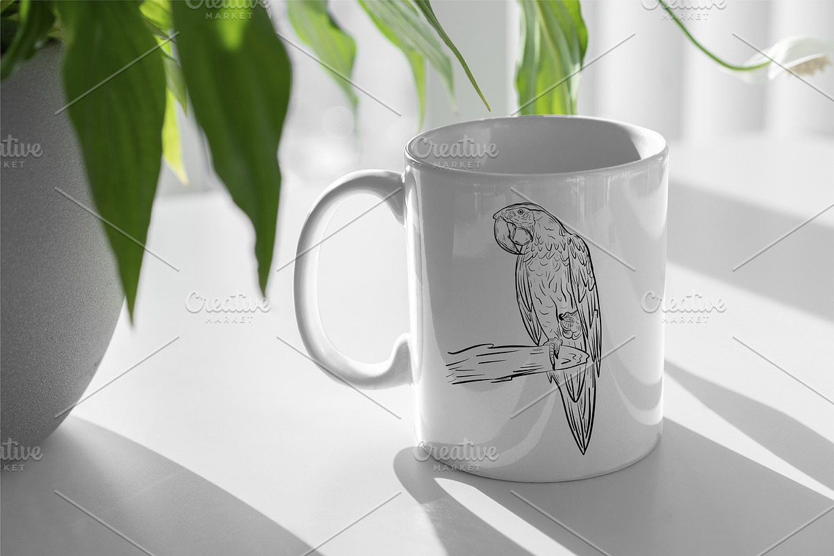 Birds bundle, an Animal Illustration by IPVector (Photo 5 of 6)