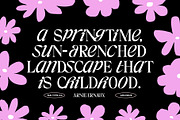 TAN - ARCHIEVE, a Serif Font by TanType (Thumbnail 10 of 11)