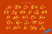 Delicate Routine Bold Handwritten, a Script Font by Letterena Studios Script (Thumbnail 17 of 20)