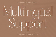 Haloyen Stylish Font Serif, a Serif Font by Storytype Studio (Thumbnail 10 of 15)