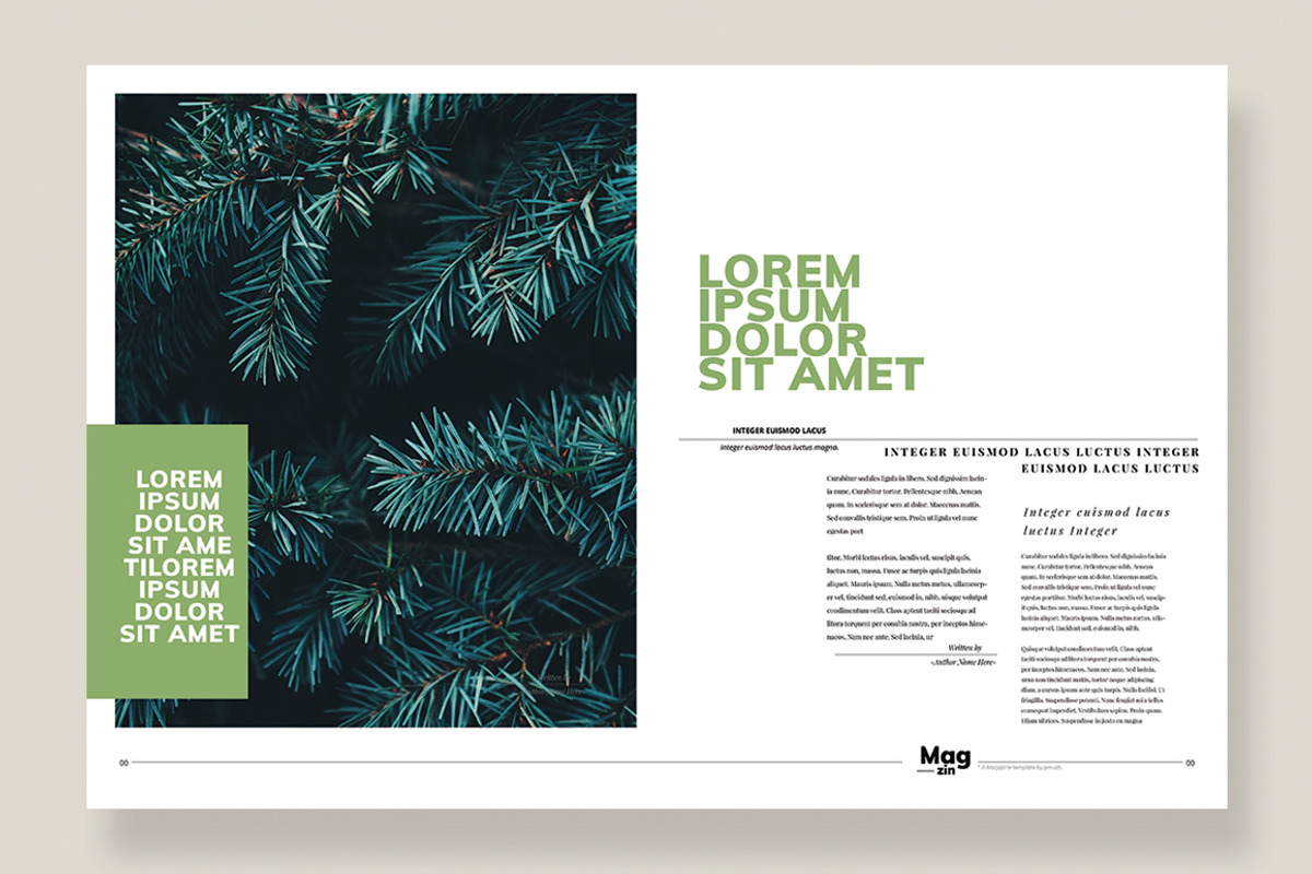 Magazine Template 10, a Magazine Template by pmvch (Photo 8 of 12)