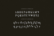 Rolandie Romantic Serif, a Serif Font by Cruzine (Thumbnail 6 of 8)