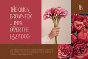 The Bravery, a Serif Font by Pollux of Geminorum (Thumbnail 5 of 12)
