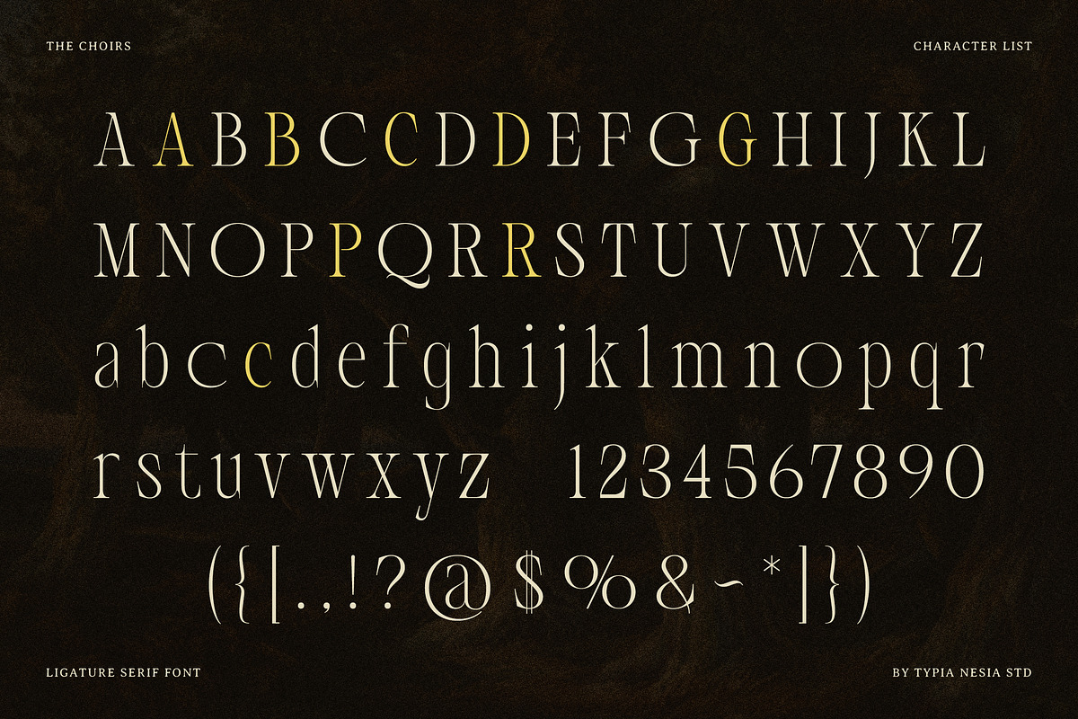 The Choirs - Beauty Elegant Ligature, a Serif Font by Typia Nesia (Photo 14 of 16)